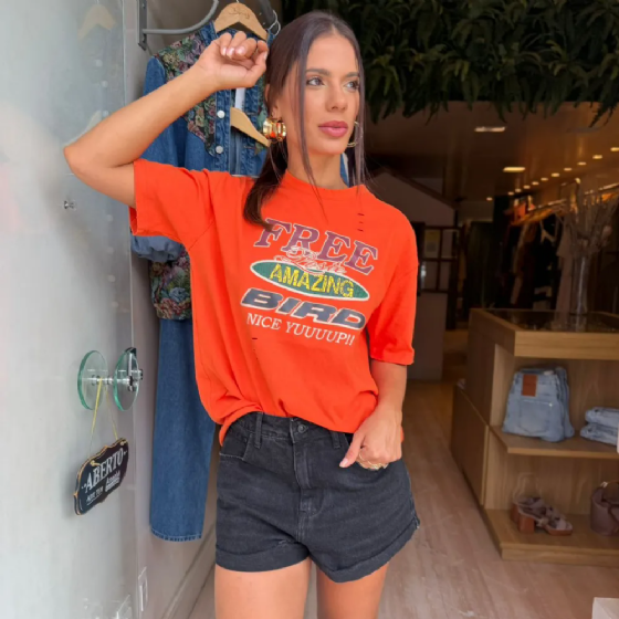 Camiseta Destroyed Estampada